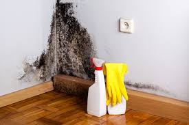 Best Mold Remediation for Healthcare Facilities in USA